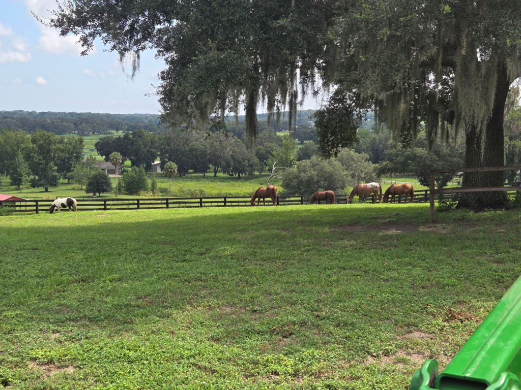 A view of pasture with Pasadena Hills in the background.